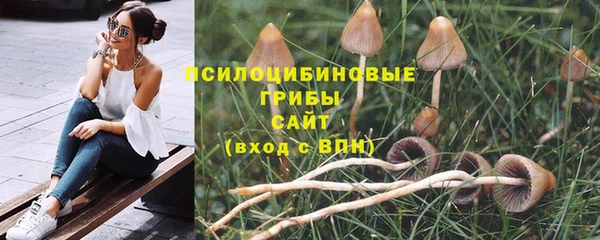 ГАЛЛЮЦИНОГЕННЫЕ ГРИБЫ Абаза